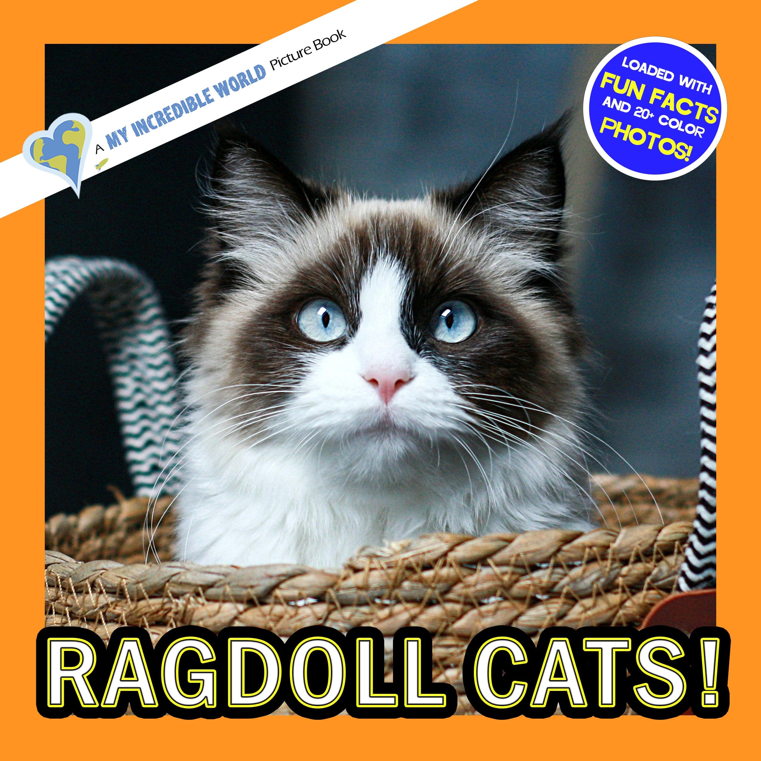 Ragdoll Cats! A My Incredible World Picture Book for Children